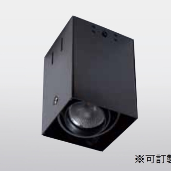 1915-1 吸頂單燈