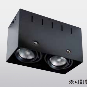 1915-2 吸頂雙燈